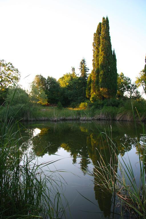 Le Valli Aparthotel Pomarance Bagian luar foto